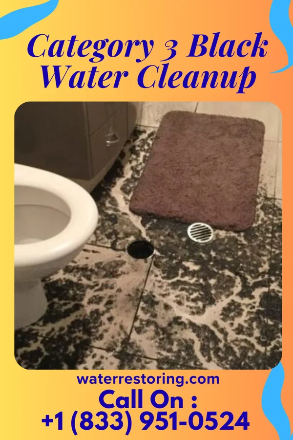 Category 3 Black Water Cleanup in North Warren, PA