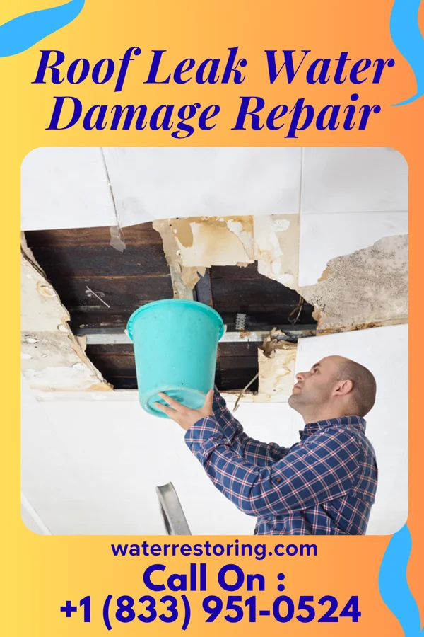Roof Leak Water Damage Repair in North Warren, PA