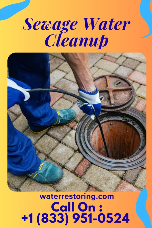 Sewage Water Cleanup in North Warren, PA