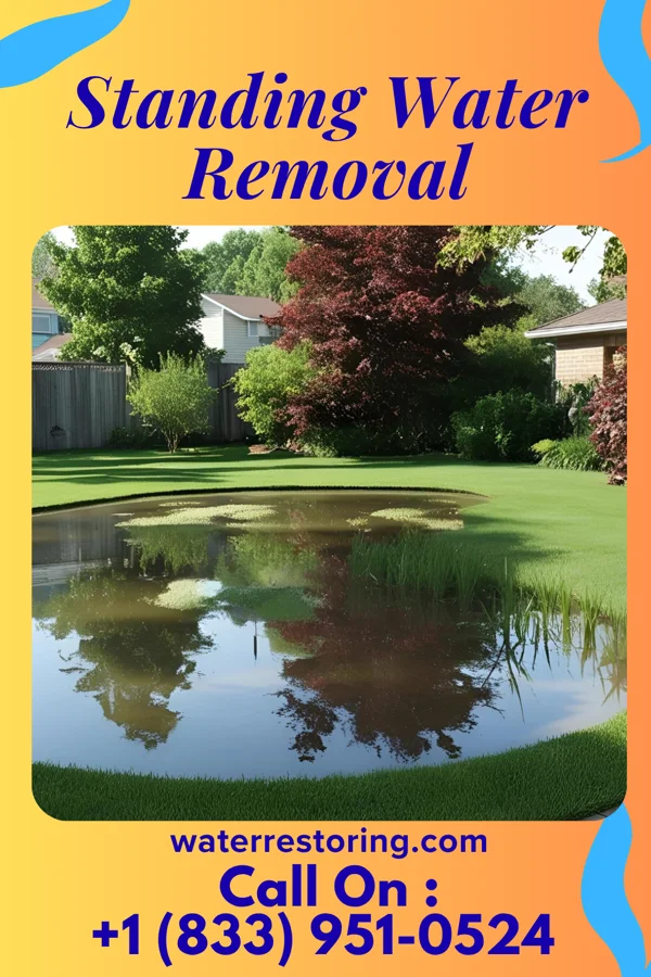 Standing Water Removal in North Warren, PA
